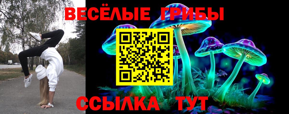 Псилоцибиновые грибы мицелий  продажа наркотиков  Долгопрудный  Галлюциногенные грибы Psilocybe  Вход с VPN 