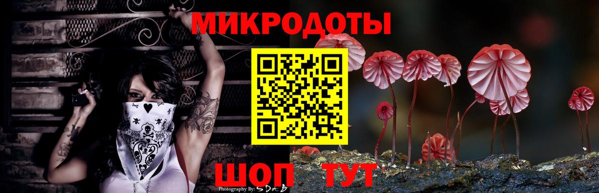 Галлюциногенные грибы GOLDEN TEACHER  Псилоцибиновые грибы ЛСД  Долгопрудный 