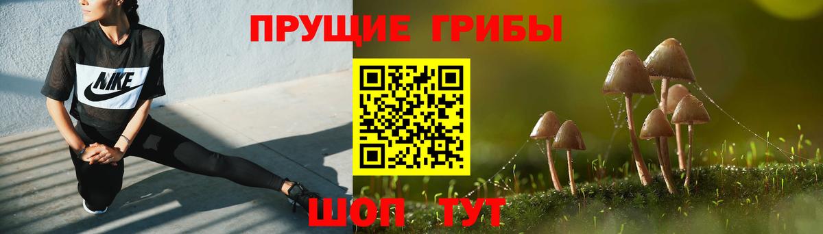 Галлюциногенные грибы мухоморы Долгопрудный